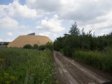 16.07.2019 Подготовка площадки для строительства цеха лесопильного производства