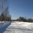 Освоение лесофонда